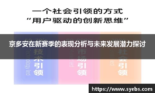 京多安在新赛季的表现分析与未来发展潜力探讨